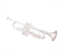Tromba Strumento Musicale Si Bemolle Adulto Principiante Professionale Ottone Ingresso Standard Tromba Durevole(Silver)