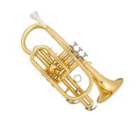 Tromba Strumento Strumento A Cornetta In Si Bemolle Numero Di Palma Strumento A Tromba Portatile Professionista Principiante Generale