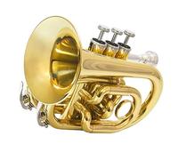 Tromba Strumento Strumento A Cornetta Portatile In Si Bemolle Per Principianti Con Numero Di Palma Per Tromba