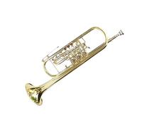 Tromba Strumento Strumento A Tromba Chiave Bemolle Tromba Tre Tasti Bemolle Tromba Si Bemolle Trinota Tre Giri Di Chiave