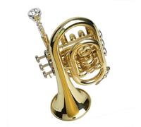 Tromba Strumento Strumento Musicale Tromba Da Palma Portatile In Si Bemolle Cornetta Appassita Oro