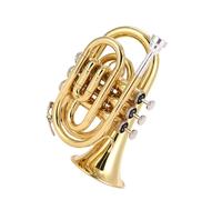 Tromba Strumento Tromba Strumento Musicale Numero Di Palma Tromba Portatile Strumento Musicale Tromba In Si Bemolle