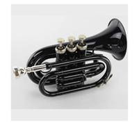 Tromba tascabile in Si Strumento a tromba portatile La tromba per studenti in ottone viene fornita con custodia rigida, bocchino, panno e guanti