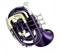 Tromba Tascabile Mini Viola Bb Tromba Trombetta Strumento Tromba Professionale In Ottone E Acciaio Inossidabile Con Suono Ricco