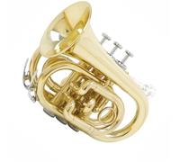 Tromba Tascabile Portatile Tromba In Sib Strumenti In Ottone Tromba Standard Professionale Per Principianti
