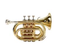 Tromba Tascabile Si Bemolle Tromba In Ottone Strumento Principiante Tromba Professionale Tono Pieno Standard