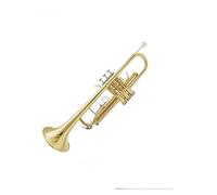 Tromba Test delle prestazioni dello strumento a tromba strumento a fiato in ottone nichelato
