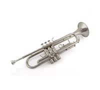Tromba Test delle prestazioni entry level dello strumento a tromba oro argento B flat (Color : Silver)