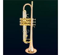 Tromba Tromba A Campana Piatta In Bronzo Fosforoso B Per Principianti E Prestazioni Professionali