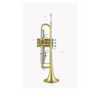 Tromba Tromba di tipo standard con corpo a tubo in rame bianco con variazione di intonazione. Tromba in Si bemolle laccata oro bicolore