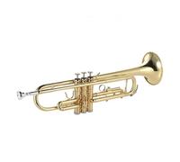 Tromba Tromba in Sib Bocca Piatta Ottone Placcato Oro Strumento in Ottone Squisito e Durevole con Custodia per Tracolla per Guanti per Boccaglio per Tromba