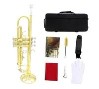 Tromba Tromba In Sib Con Vernice Dorata Materiale In Ottone Tromba Musicale Con Kit Di Manutenzione Della Borsa Per Principianti(Set 1)