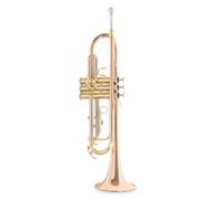 Tromba - Tromba In Sib Roy Benson Tr-202g - Tr-202g