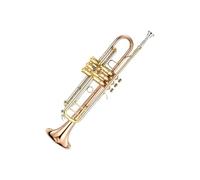 Tromba Tromba per strumenti modello TR500 strumento musicale professionale che suona la tromba in si bemolle