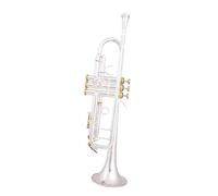 Tromba Tromba Placcata In Argento Piccolo Strumento Musicale In Ottone TrombaStrumenti In Ottone Professionali(Golden)