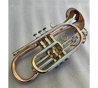 Tromba Tromba Professionale A Cornetta In Sib Dorata Con Custodia Per Strumenti Musicali In Ottone