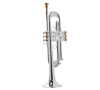 Tromba Tromba Professionale Con Chiave SI Bemolle Placcata In Oro E Argento(Silver plated)
