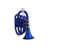 Tromba Tromba Professionale Per Principianti In Sib Piatto In Ottone Strumento A Fiato Con Guanti E Custodia In Tessuto(Blue)