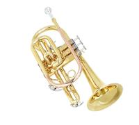 Tromba Tromba tascabile in Sib placcata in oro cornetta strumento professionale in ottone
