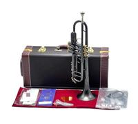 Tromba Tromba Tubo Strumento Piatto Ottone Amante Della Musica(D)