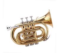 Tromba Versione Aggiornata Dell'orchestra Della Tromba In Si Bemolle Per Lo Studio Autonomo(100)