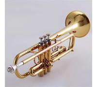 Tromba Versione Aggiornata Dell'orchestra Della Tromba In Si Bemolle Per Lo Studio Autonomo