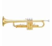 Tromba Yamaha YTR-2330 Student Model Bb con custodia semi rigida / originale ...