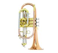 Trombe B-flat Flat Fosphor Bronze Brass Cornet Strumento Per Principiante Performance Test strumento a tromba (Color : Phosphor bronze)