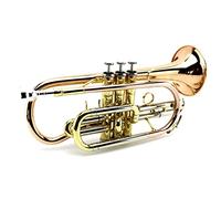 Trombe B-flat Fosphor Bronze Cornet Strumento strumento a tromba