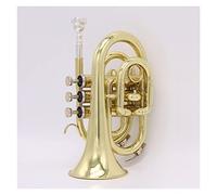 Trombe B-Flat Tre-Tone Trumpet Mini Palm Number Beginner Playing Test Test Banda Professionale strumento a tromba