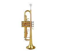 Trombe B-flat tromba musica in ottone è adatto per principianti per testare il livello di prestazione dello strumento tromba a banda in ottone