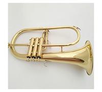 Trombe B-Flat Trommumt Professional Playing Beginner Musical Strument strumento a tromba