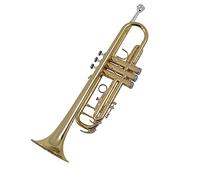 Trombe B-flat Two-Tone Brass Per Principianti Per Giocare In Oro strumento a tromba