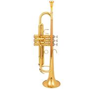 Trombe B Lo Strumento Musicale Tromba Piatto B È Adatto Per Studenti E Principianti strumento a tromba