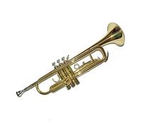 Trombe B Piatto BB Tromba Strumenti Musicali Per Principianti Tromba In Ottone Laccatura Argento Placcato Con Cassaforte strumento a tromba