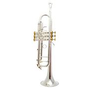 Trombe B Strumento Tromba Piatto Con Tasti Dorati Argentati strumento a tromba