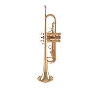 Trombe B Tromba Flat Tromba Strumento Musicale In Ottone Tubo Corpo Laccato Oro strumento a tromba