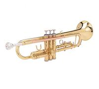 Trombe Banda Per Principiante Bronzo Bronzo Body Phosphor Brass Tube Body Brand strumento a tromba