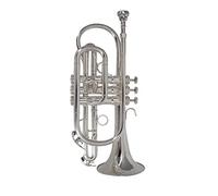 Trombe BB Piatto Tromba Piatta In Argento Professionale Placcato Con Boccaglio E Custodia Per Il Trasporto Strumento Musicale strumento a tromba