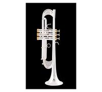 Trombe BB Tromba In Oro Laccato Argento Placcato Tromba In Ottone Strumenti Musicali Tipo Di Tipo Composito Tromba strumento a tromba (Color : 2)