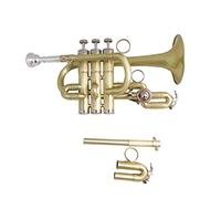 Trombe BB Tromba Laccata Tromba In Ottone Con Cassa Cassa Strumenti Musicali Trompete Pistoni In Acciaio Inox strumento a tromba (Color : Brush finish)