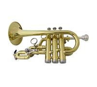 Trombe BB Tromba Laccata Tromba In Ottone Con Cassa Cassa Strumenti Musicali Trompete Pistoni In Acciaio Inox strumento a tromba (Color : Lacquer)