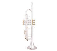 Trombe BB Tromba Silver Plated Tromba Piccolo Strumento Musicale In Ottone strumento a tromba (Color : Golden)