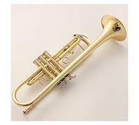 Trombe BB Trumpet Laccato In Oro Strumenti Musicali Profesional Trombe Studente Incluso Case Case Bocchino Accessori strumento a tromba