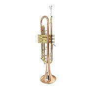 Trombe Brass B Flat È Adatto Per La Tromba Speciale Della Banda Per Principianti Adulti strumento a tromba (Color : 2)