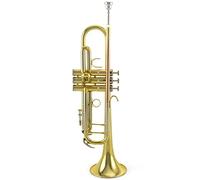 Trombe Bronzo Fosforoso Bocchino Cupronichel Tubo Diafonico B Flat Tromba Strumento strumento a tromba