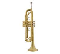 Trombe Esecuzione Professionale Di Tromba In Si Bemolle Laccato Oro Spazzolato strumento a tromba