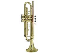 Trombe La Tromba B-Flat È Adatta Per I Principianti Per Giocare A Tre-Tone Trumpet Golden Test Per Adulti E Bambini strumento a tromba (Color : 2)