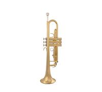 Trombe Lo Strumento Musicale Tromba Nell'esame Orchestrale Western Placcato Argento Piatto Per Principianti strumento a tromba