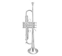 Trombe Lo Strumento Tromba B-Flat È Adatto Per L'esame Del Grado/Prestazioni Professionali strumento a tromba